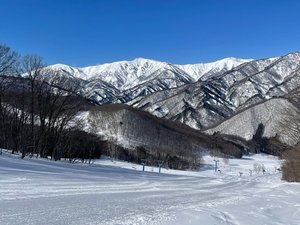 �k�����E�����X�L�[��