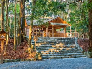 �i�������_�{���A���܂��Ē��J�ɏ���