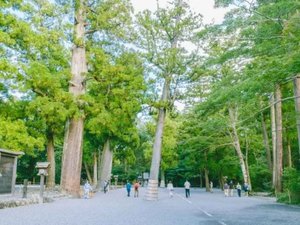 ���ɐ��Q���[���y���ށA�̂Ȃ���̏��H��
