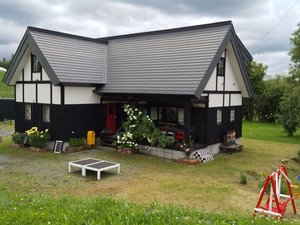 ������Ȃ��h����؂����̎ʐ^