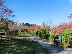 【恵那峡】<秋>恵那峡さざなみ公園