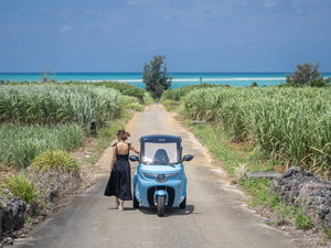 EMOBI�d���g�D�N�g�D�N�����^���T�[�r�X�i�L���j