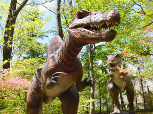 �y�Ȗ،�:�ߐ{�E���z�u�������F�[���ߐ{ �W�����V�b�N����z�e��