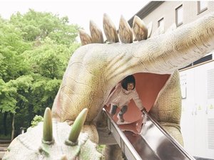 安心して遊べる!小さなお子さまも楽しめる恐竜スライダー!