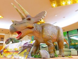 エントランスでは、大きなトリケラトプスがお出迎えいたします!