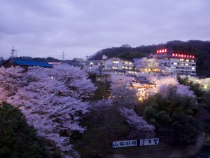 外観 桜時期