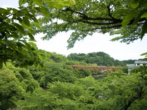 ホテルから見える開運橋