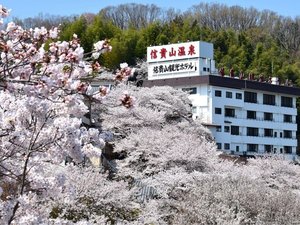 �V�R�N�o�M�M�R����@�M�M�R�ό��z�e���̎ʐ^