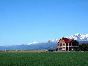 �y�k�C��:�x�ǖ�E���l�E�g�}���zB&B Plus�{ �V���[�e�B���O�X�^�[