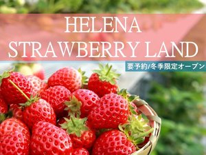 【ヘレナストロベリーランド】冬季はいちご狩り体験もお楽しみいただけます!