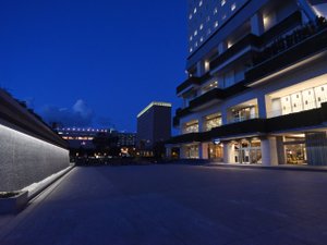 �L���i���v���U