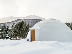 �f�k�`�l�o�q�n�n�j�эj�����̎ʐ^