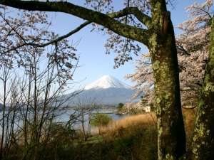 春の撮影ポイントご案内しますよ。