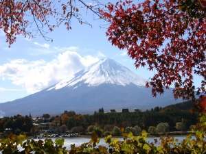 春の撮影ポイントご紹介しますよ。