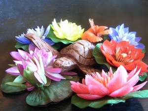 ♪♪Flower