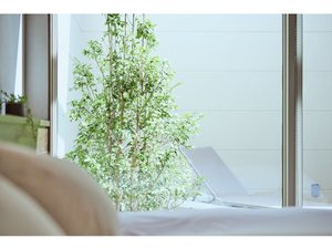 露天風呂植栽