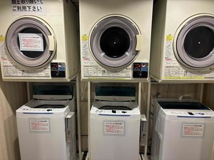 �R�C�������h���[�i5F���ʘH�j