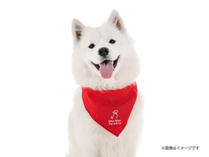 プラン特典「クールバンダナ」