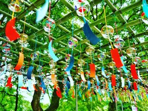 【金櫻神社】お車で25分。風鈴の音が涼やかな夏の癒しスポットです