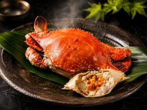 施設
