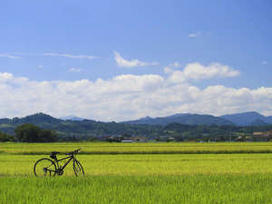 自然豊かなサイクリングもおすすめです。
