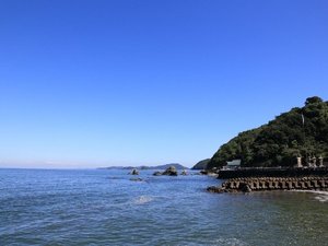 観光