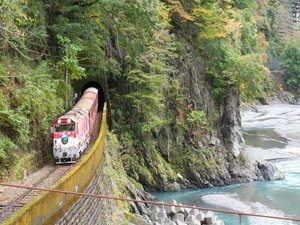 大井川上流部・奥大井の渓谷をゆっくる走るアプト式列車