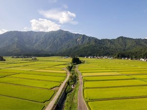 ゆもとかんの裏の景色