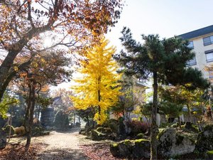 お庭の紅葉【秋】