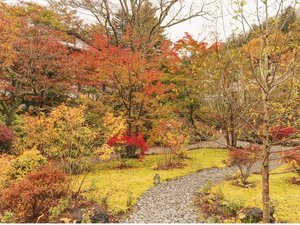 中庭イメージ【秋】