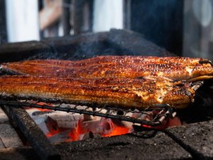 炭火を熾し、職人が目の前で焼き上げる「鰻の蒲焼」食べ放題