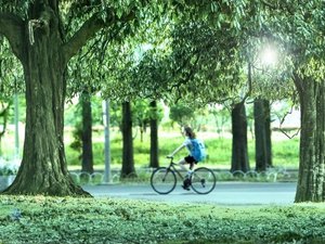 �y�y���\�����z�Έ���y���ő厩�R�𖞋i�����l���ցB