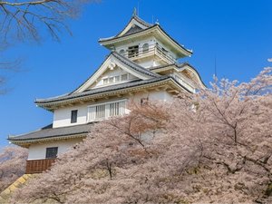 【当館から徒歩で20分】滋賀の歴史が詰まった「長浜城」