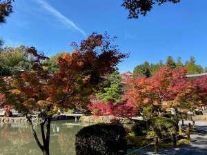 �Ռk�R�̍g�t���i