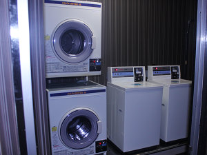 �R�C�������h���[