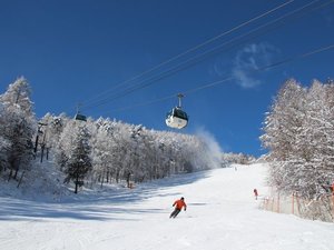 �x�m���p�m���}���]�[�g