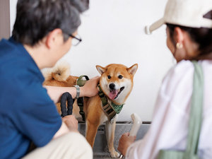足洗い場:お湯も出るから安心。遊んだあとは足元すっきり。