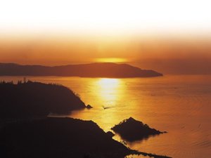 �R�o���g���C�����猩���[��