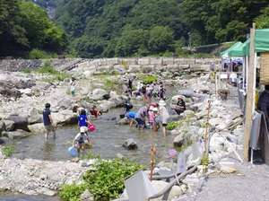 川魚つかみ取り会場
