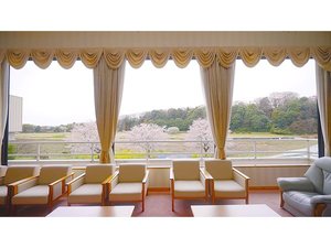 2階ロビーから眺める桜