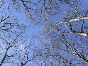 オーナーおすすめ!オープンリビングを見上げて