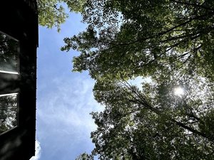 オーナーおすすめ!オープンリビングを見上げて