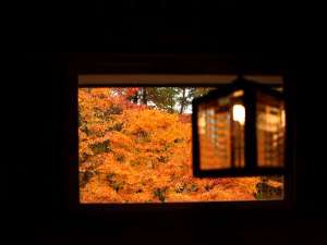 当館周辺の紅葉も見ごろを迎えるととてもきれいに色付きます。