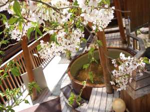 【春の大浴場露天風呂】GW前後は桜を見ながらの花見露天風呂が楽しめるかもしれませんよ!