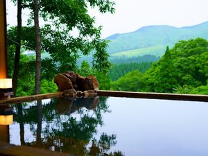 大自然を眺める特別室RURIの客室露天風呂
