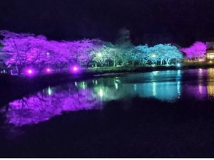 ���j�g�s�A������܂̎{�ݎʐ^1