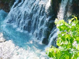 白ひげの滝まで歩いて10分。お散歩コースにおすすめのスポットです。