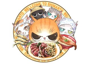 しにゃんと ニャンコ(カツオのタタキを見せてます)
