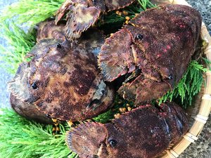 ɓE͒ÁEl@̏h@C̎{ݎʐ^1