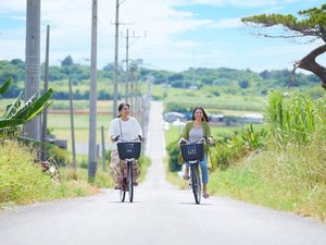レンタサイクルで島内観光